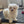 Load image into Gallery viewer, Ava
