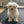 Load image into Gallery viewer, Ava
