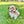 Load image into Gallery viewer, Hazel
