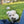 Load image into Gallery viewer, Buttons
