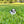 Load image into Gallery viewer, Elsa
