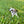 Load image into Gallery viewer, Olaf
