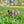 Load image into Gallery viewer, Kristoff

