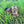 Load image into Gallery viewer, Kristoff
