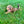 Load image into Gallery viewer, Kristoff
