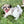 Load image into Gallery viewer, Sky
