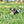 Load image into Gallery viewer, Zoey

