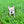 Load image into Gallery viewer, Muffin
