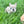 Load image into Gallery viewer, Muffin
