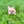 Load image into Gallery viewer, Freckles
