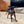 Load image into Gallery viewer, Elly

