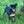 Load image into Gallery viewer, Jackson
