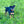 Load image into Gallery viewer, Jackson
